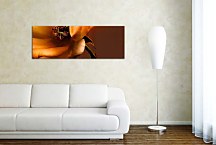 Obraz Panorámy Kvetov zs342