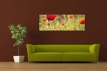 Obraz Panorámy Kvety zs3142