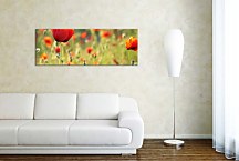 Obraz Panorámy Kvety zs3142