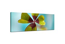 Panorámi s kvemi Obrazy zs18592