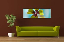 Panorámi s kvemi Obrazy zs18592