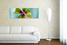 Panorámi s kvemi Obrazy zs18592