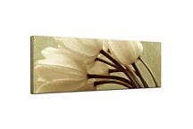 Obraz Panorámy Kvety zs345