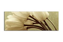 Obraz Panorámy Kvety zs345