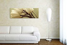 Obraz Panorámy Kvety zs345