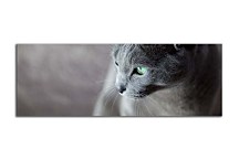 Panoráma Zvierat Obraz zs18543