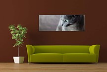 Panoráma Zvierat Obraz zs18543