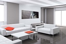 Panoráma Zvierat Obraz zs18543