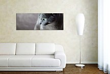 Panoráma Zvierat Obraz zs18543