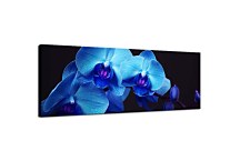 Panoráma Kvet Obraz zs18587