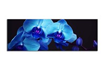 Panoráma Kvet Obraz zs18587