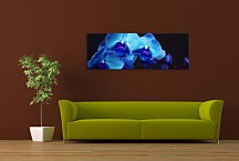 Panoráma Kvet Obraz zs18587