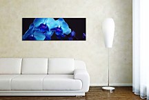 Panoráma Kvet Obraz zs18587