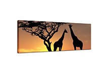 Obraz Panoráma Zvieratá zs3159
