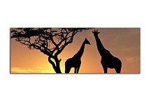 Obraz Panoráma Zvieratá zs3159