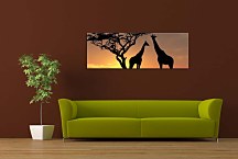 Obraz Panoráma Zvieratá zs3159