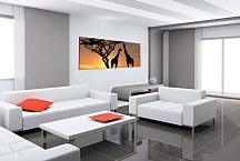 Obraz Panoráma Zvieratá zs3159
