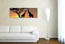 Obraz Panoráma Zvieratá zs3159