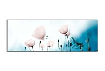 Obrazy panoráma Kvety zs18557