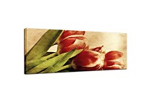 Obraz Panorámy Kvety zs269