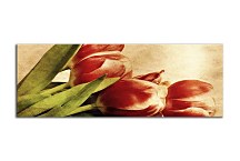 Obraz Panorámy Kvety zs269