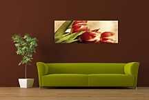 Obraz Panorámy Kvety zs269