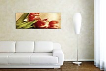 Obraz Panorámy Kvety zs269