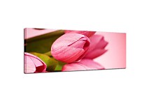 Obraz Panorámy Kvety zs3143