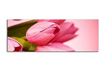 Obraz Panorámy Kvety zs3143