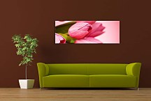 Obraz Panorámy Kvety zs3143