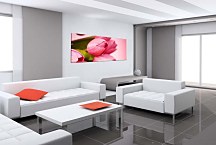 Obraz Panorámy Kvety zs3143