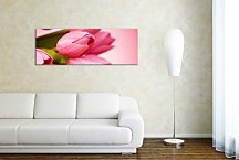 Obraz Panorámy Kvety zs3143