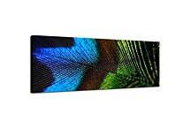 Obrazy Panorámy Pávie Oko  zs117