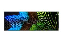 Obrazy Panorámy Pávie Oko  zs117