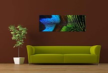 Obrazy Panorámy Pávie Oko  zs117