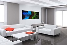 Obrazy Panorámy Pávie Oko  zs117