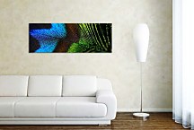 Obrazy Panorámy Pávie Oko  zs117