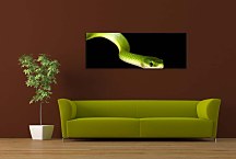 Panoráma Obraz Had zs10129