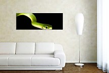 Panoráma Obraz Had zs10129