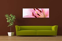 Panoráma Kvety Obraz zs18581