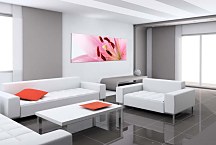 Panoráma Kvety Obraz zs18581