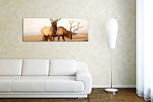 Obrazy Zvieratá zs3157