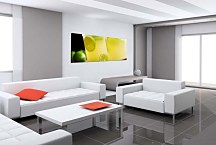 Obraz Nápoje zs18591