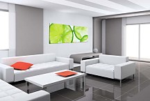 Obrazy do hotela - Limetky zs367