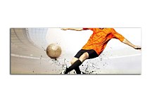 Obrazy Panoráma Šport zs290