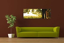 Obrazy Panoráma Stromy zs3260