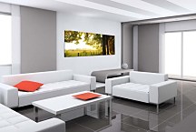 Obrazy Panoráma Stromy zs3260