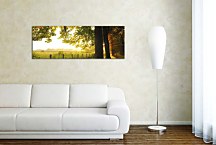 Obrazy Panoráma Stromy zs3260