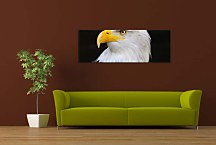 Obrazy Panoráma Zvierat zs3178