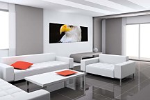 Obrazy Panoráma Zvierat zs3178